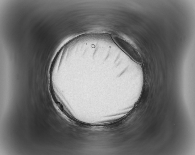 X0000086281479200704262026