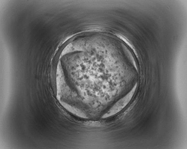 X0000086281481200704262026