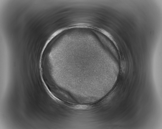 X0000086281482200704262026