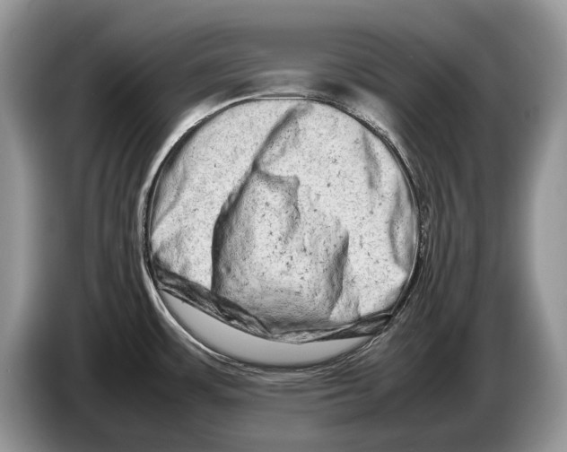 X0000086281483200704262026