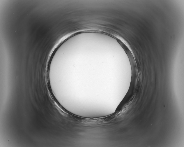 X0000086281485200704262026