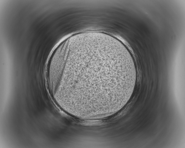 X0000086281486200704262026