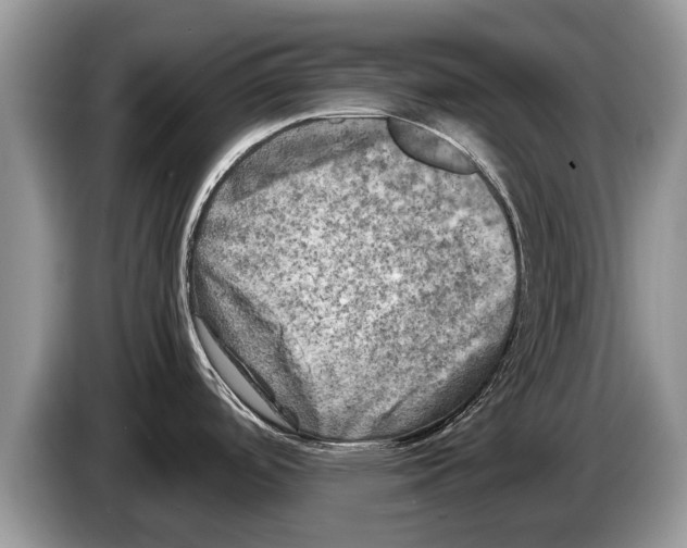 X0000086281488200704262026