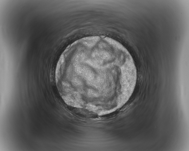 X0000086281490200704262025