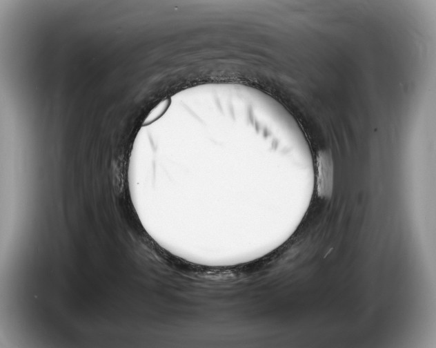 X0000086281491200704262026