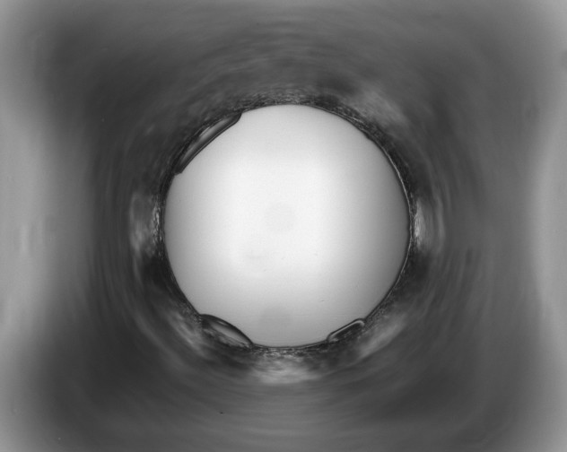 X0000086281492200704262026