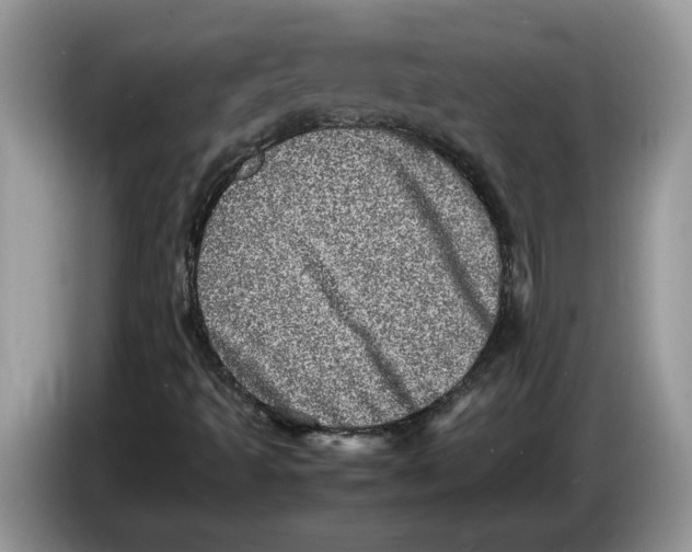 X0000086281493200704262026