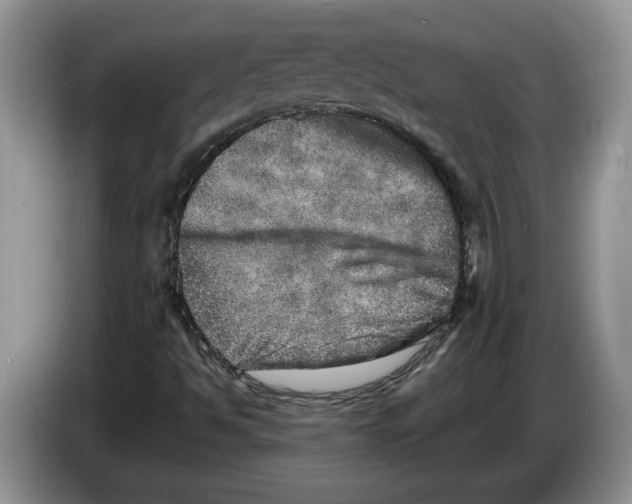 X0000086281494200704262026