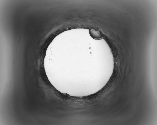 X0000086281495200704262026