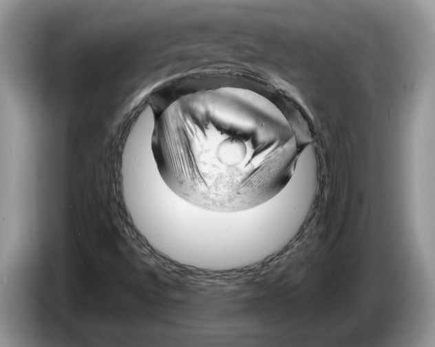 X0000086281496200704262026