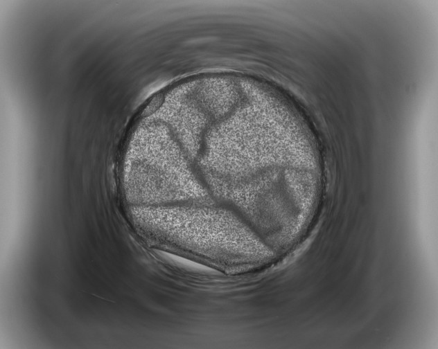 X0000086281497200704262026