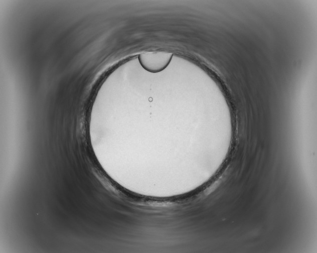 X0000086281498200704262026