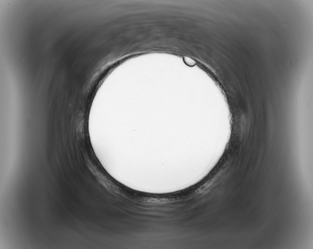 X0000086281499200704262026