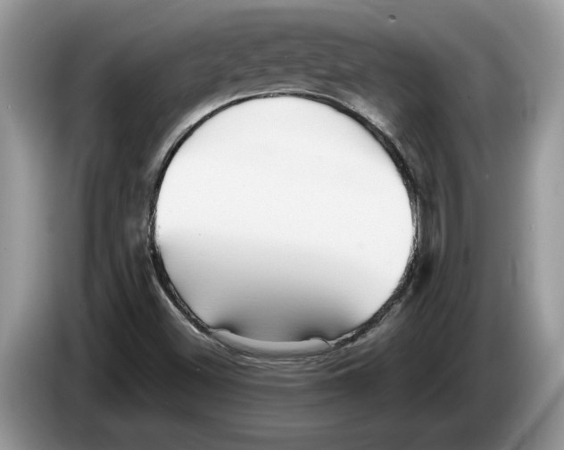 X0000086281500200704262026