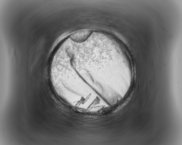 X0000086281501200704262026