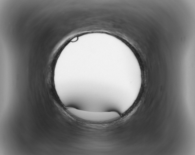 X0000086281502200704262026