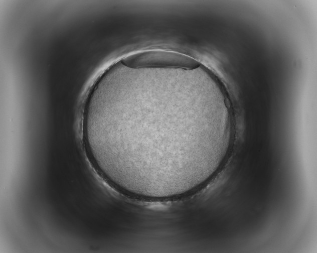 X0000086281504200704262026