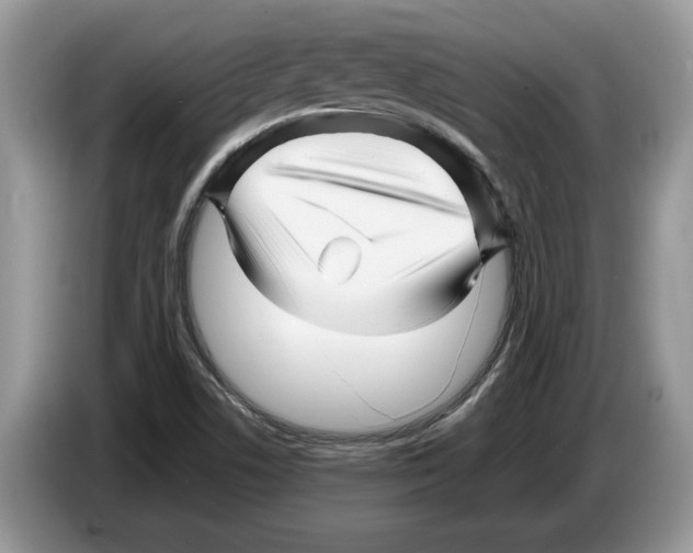 X0000086281506200704262026