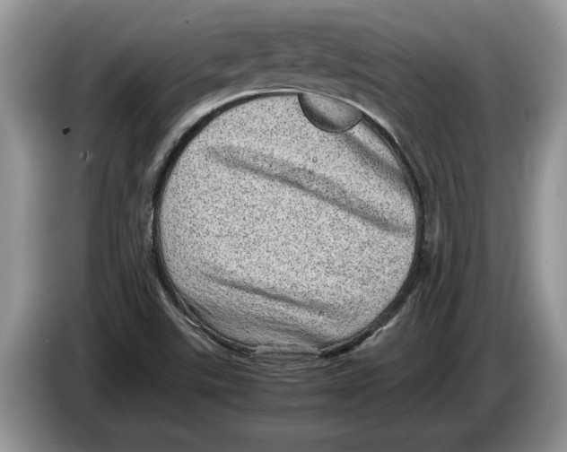 X0000086281507200704262026