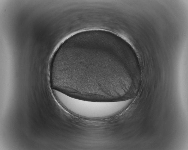 X0000086281508200704262026