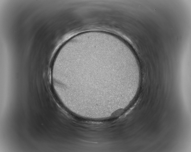 X0000086281509200704262026