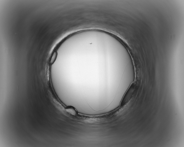 X0000086281510200704262026