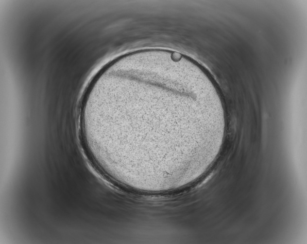 X0000086281511200704262026