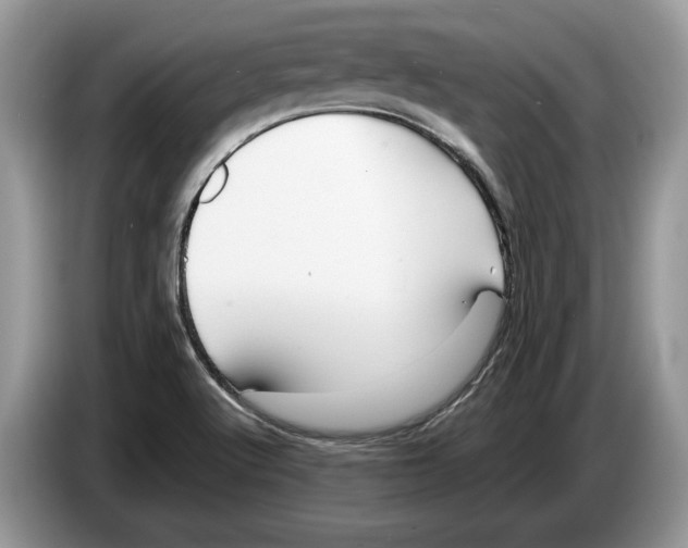 X0000086281512200704262026