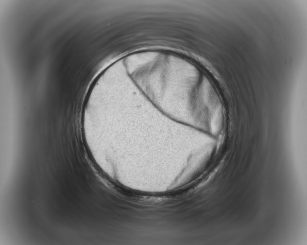 X0000086281513200704262026