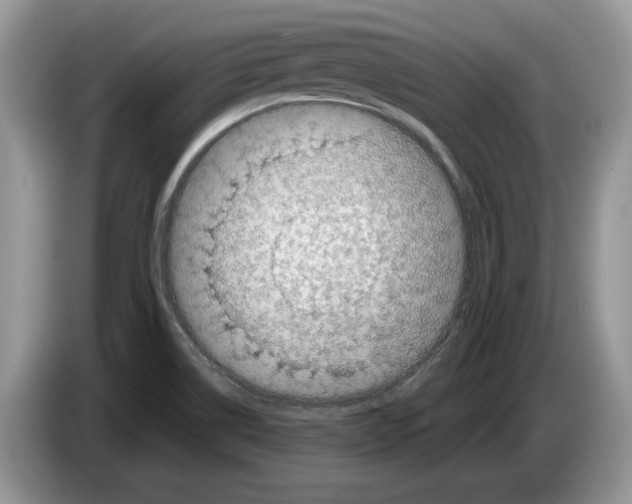 X0000086281514200704262026