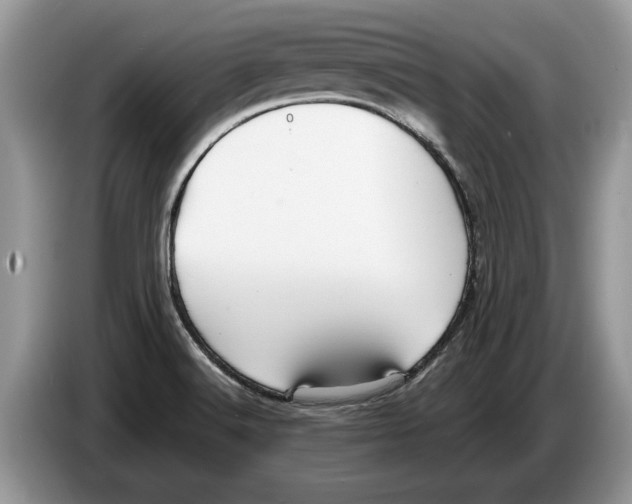 X0000086281516200704262026