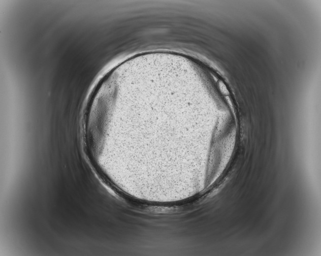 X0000086281517200704262026