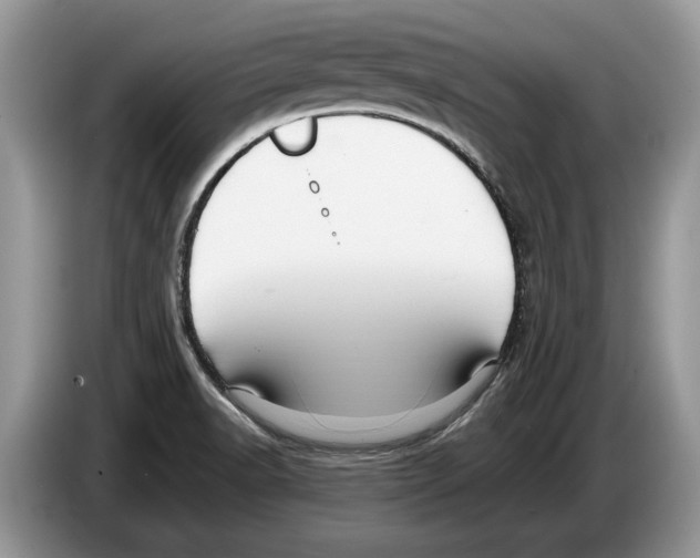 X0000086281518200704262026