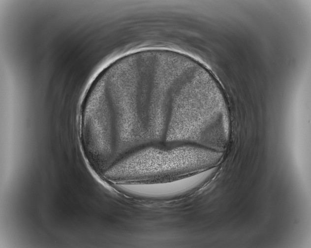 X0000086281519200704262026