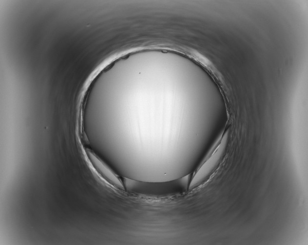 X0000086281520200704262026