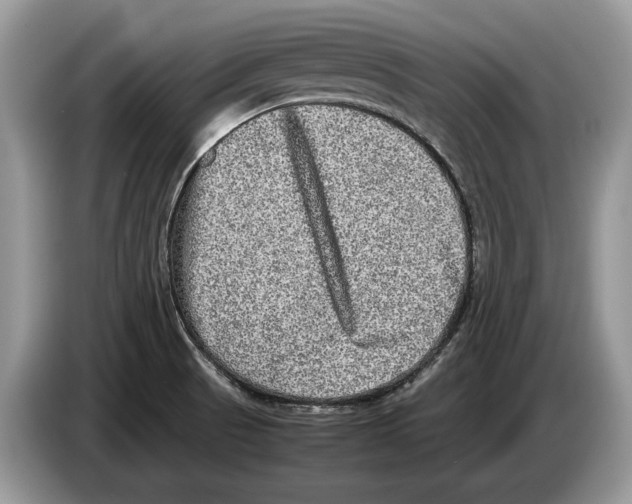 X0000086281521200704262026