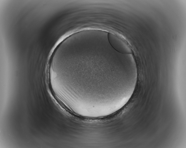 X0000086281522200704262026