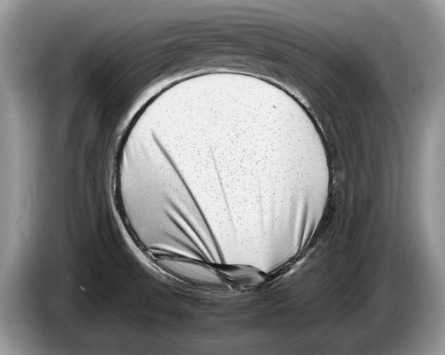 X0000086281523200704262026