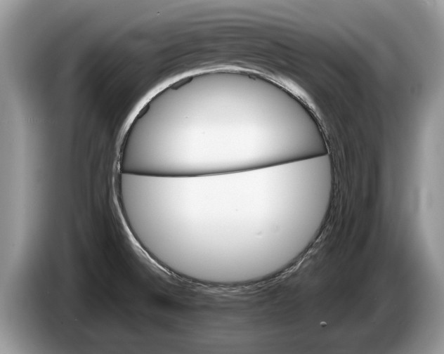 X0000086281524200704262026