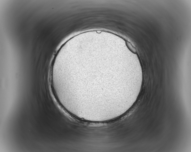 X0000086281526200704262026