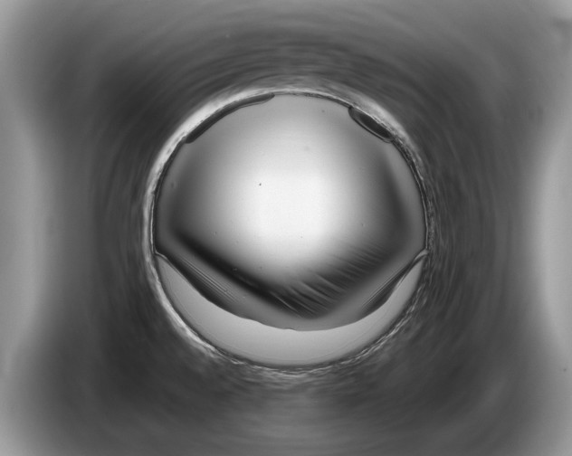 X0000086281528200704262026