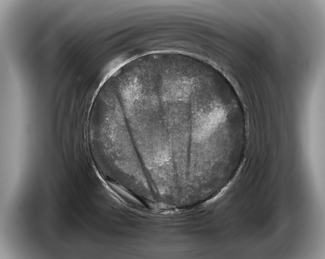 X0000086281529200704262026