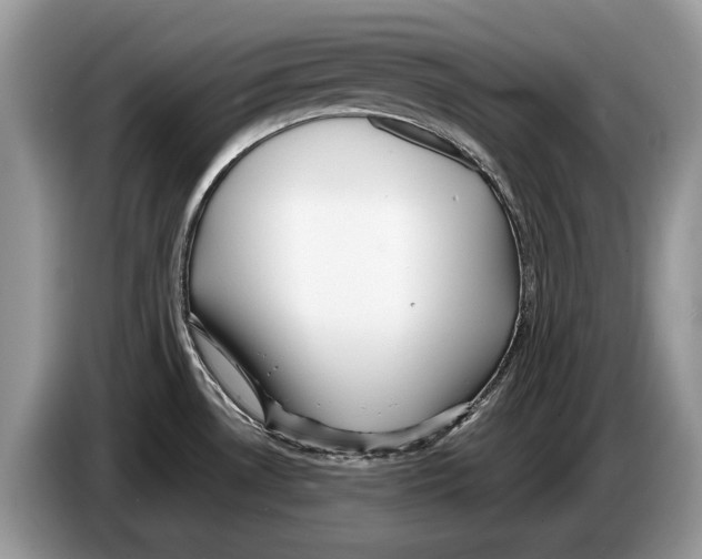 X0000086281530200704262026