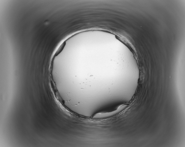 X0000086281532200704262026