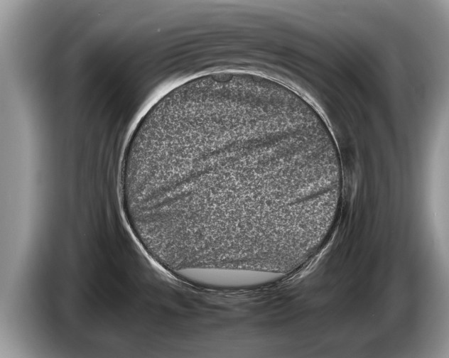 X0000086281533200704262026