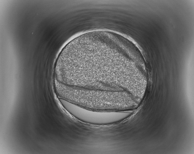 X0000086281534200704262026