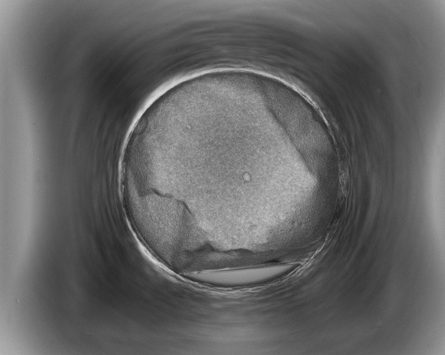 X0000086281535200704262026