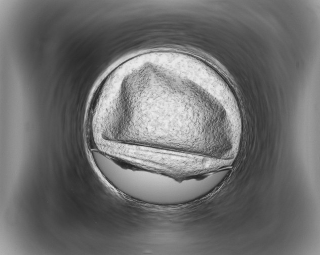 X0000086281536200704262026