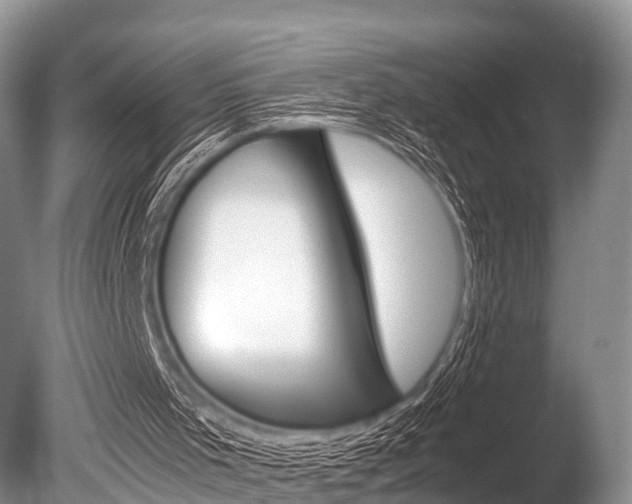 X0000086290001200703300914