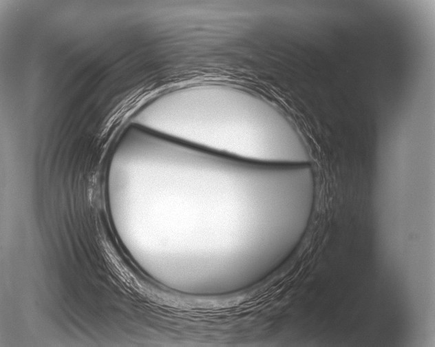 X0000086290002200703300914